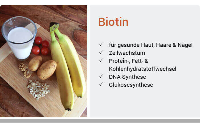 Biotin (Vitamin B7) | Mangel erkennen & behandeln Wolfs Apotheke Bredstedt