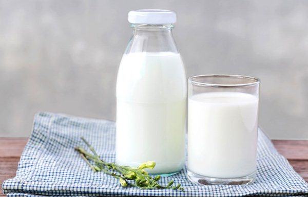 Sữa tươi không đường bao nhiêu calo? Uống sữa có béo không?